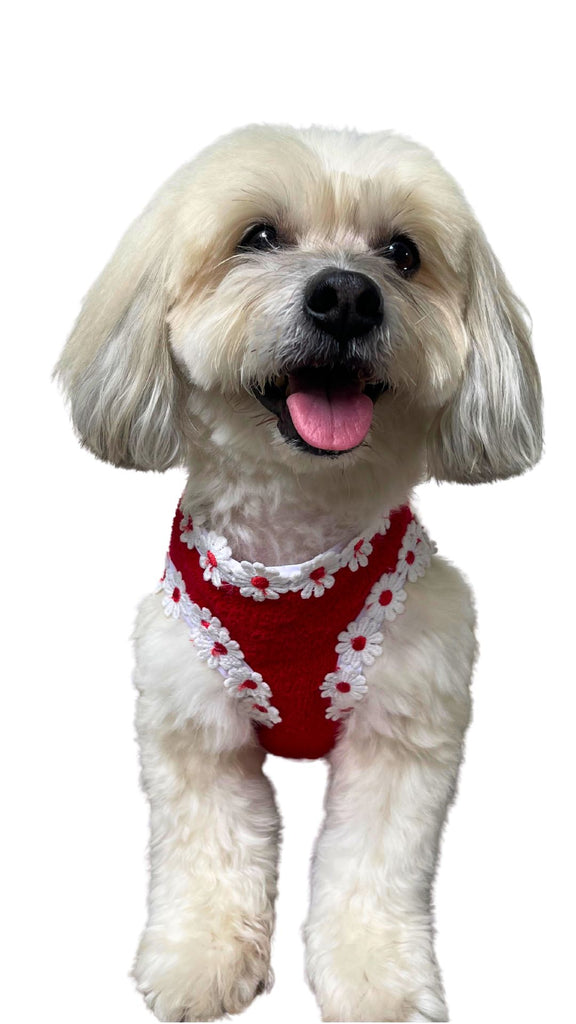 Beach Poochie Daisy Terry Dog Walking Harness