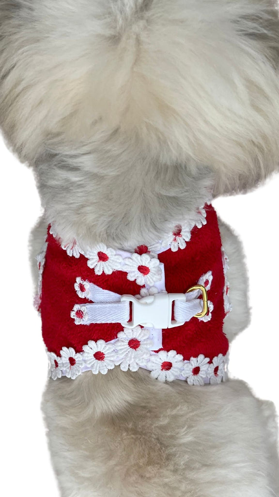 Beach Poochie Daisy Terry Dog Walking Harness