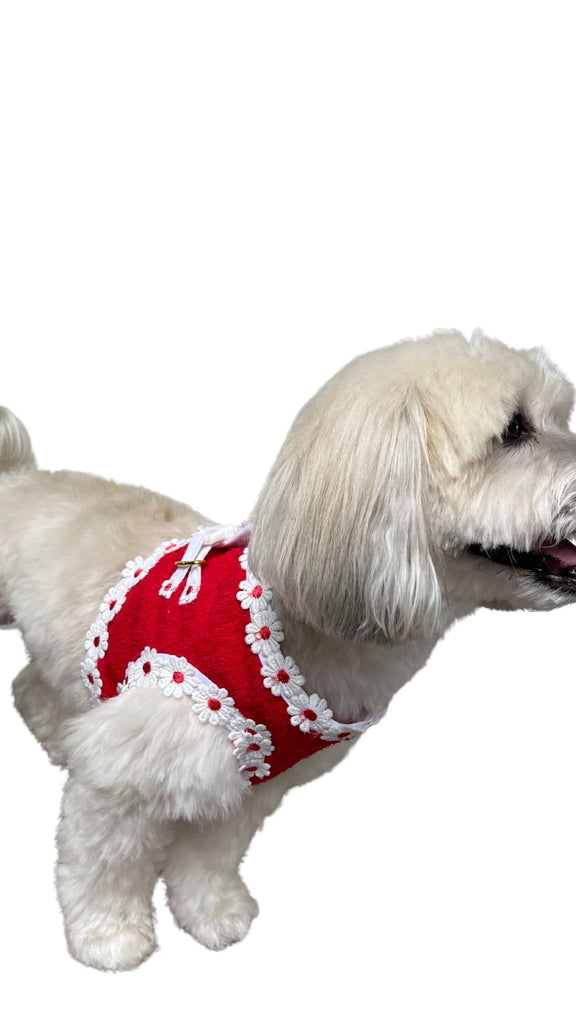 Beach Poochie Daisy Terry Dog Walking Harness