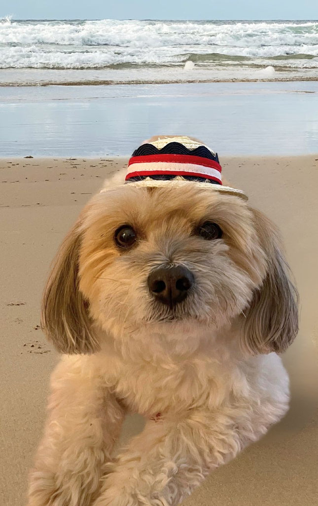 Beach Poochie Straw Doggy Hat